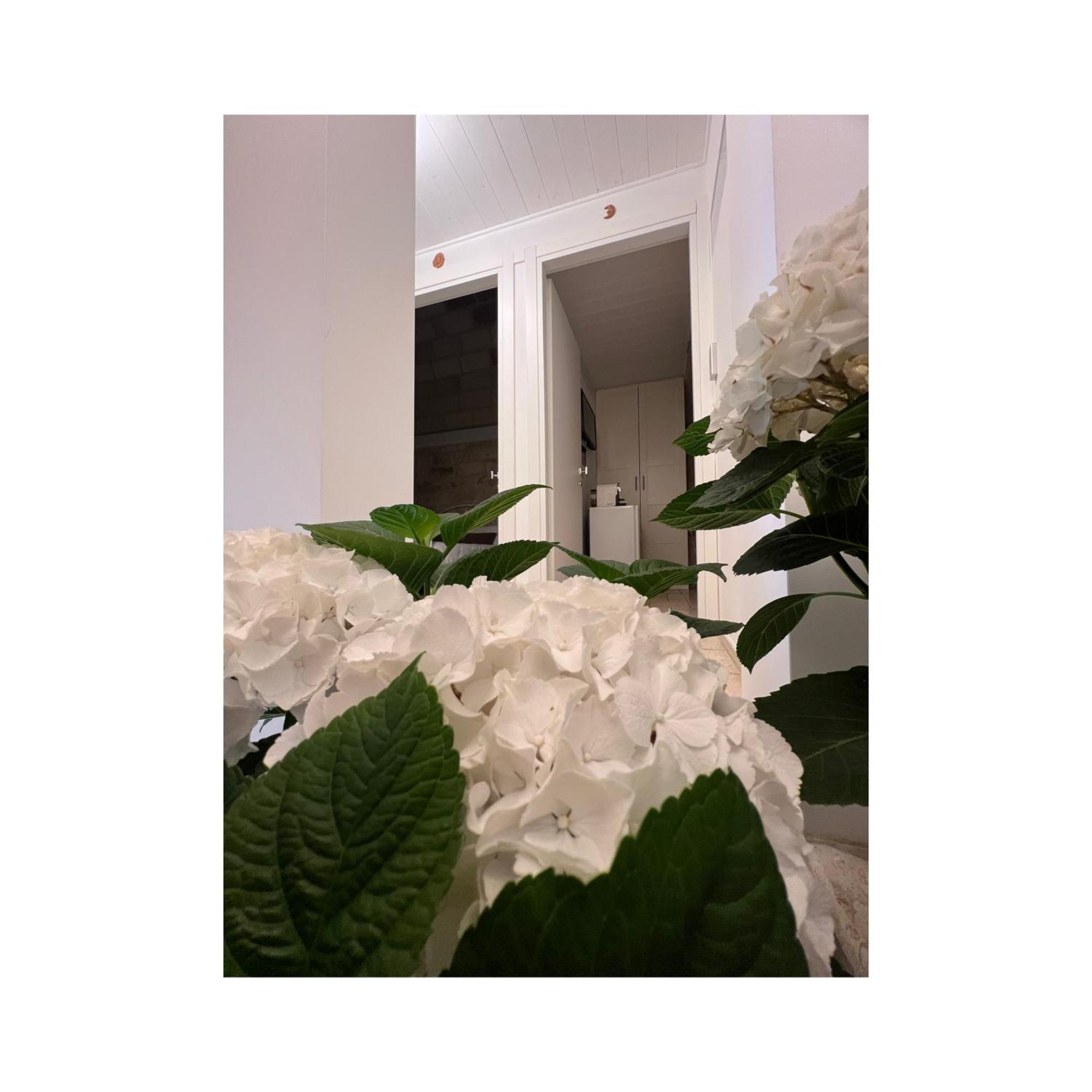 Locus Amoenus Hotel โปลีญาโนอามาเร ภายนอก รูปภาพ